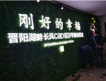 樹(shù)脂發(fā)光字作特點(diǎn)有哪些呢？山西德軒做字廠(chǎng)和您分享